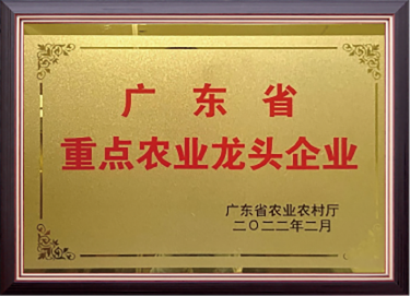 广东省重点农业龙头企业